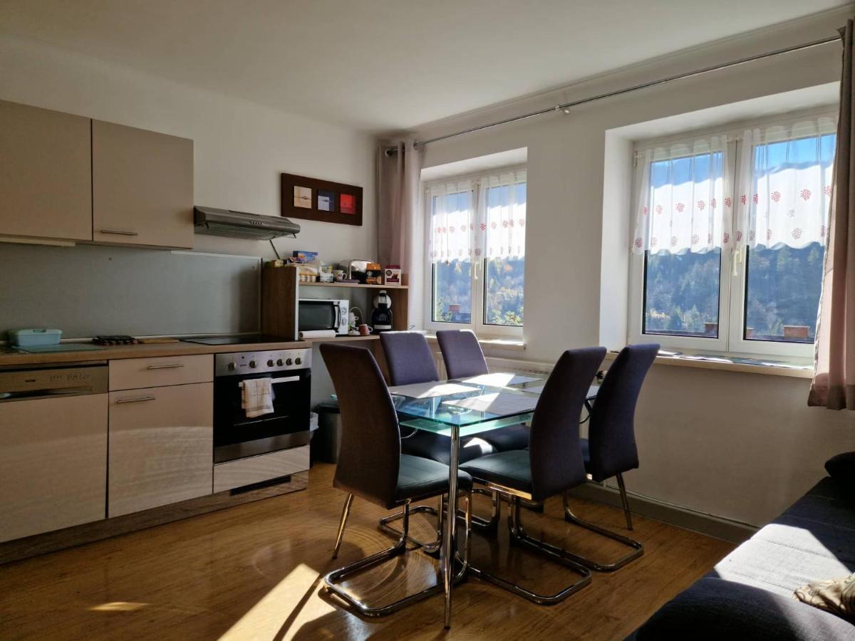 Eisenerz Stefan Apartment / Ferien Wohnung מראה חיצוני תמונה